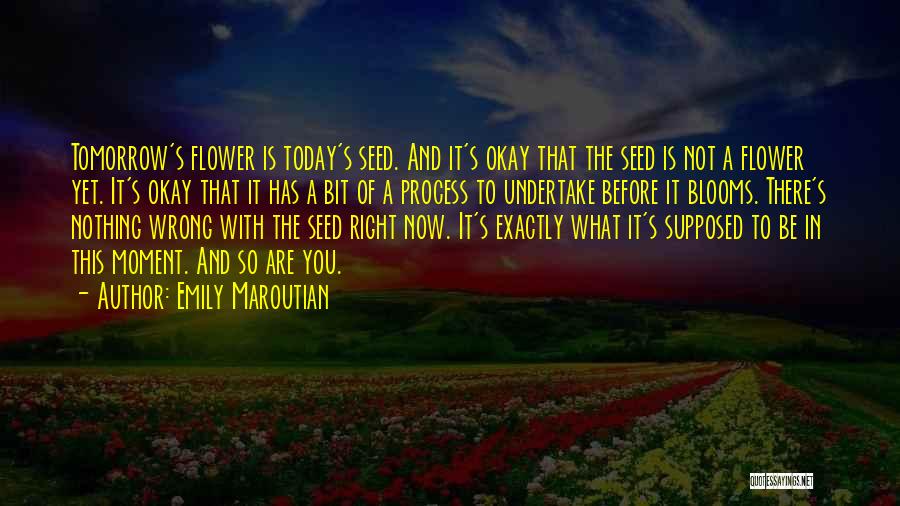 Emily Maroutian Quotes: Tomorrow's Flower Is Today's Seed. And It's Okay That The Seed Is Not A Flower Yet. It's Okay That It