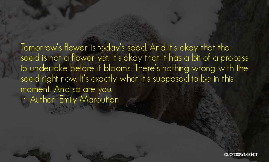 Emily Maroutian Quotes: Tomorrow's Flower Is Today's Seed. And It's Okay That The Seed Is Not A Flower Yet. It's Okay That It