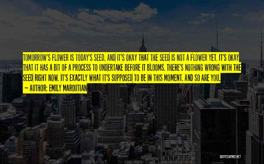 Emily Maroutian Quotes: Tomorrow's Flower Is Today's Seed. And It's Okay That The Seed Is Not A Flower Yet. It's Okay That It