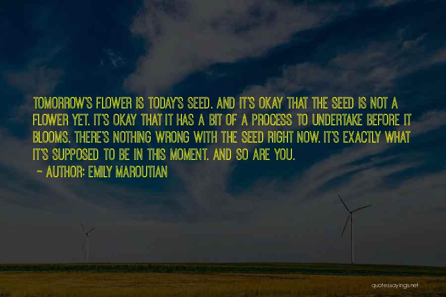 Emily Maroutian Quotes: Tomorrow's Flower Is Today's Seed. And It's Okay That The Seed Is Not A Flower Yet. It's Okay That It