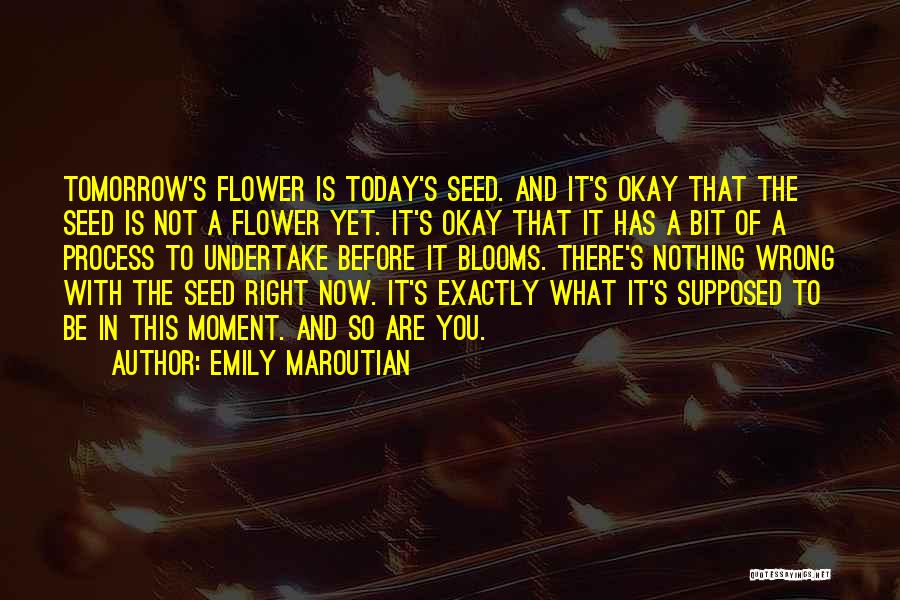 Emily Maroutian Quotes: Tomorrow's Flower Is Today's Seed. And It's Okay That The Seed Is Not A Flower Yet. It's Okay That It