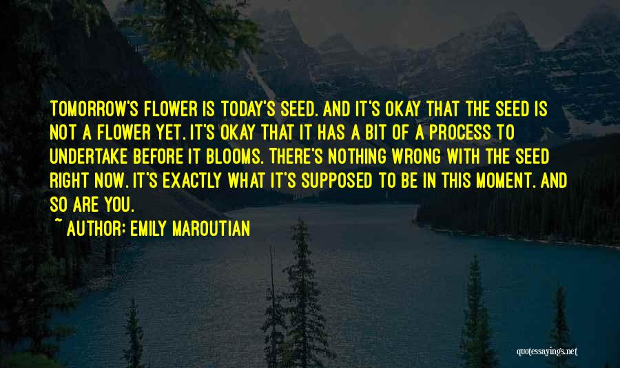 Emily Maroutian Quotes: Tomorrow's Flower Is Today's Seed. And It's Okay That The Seed Is Not A Flower Yet. It's Okay That It