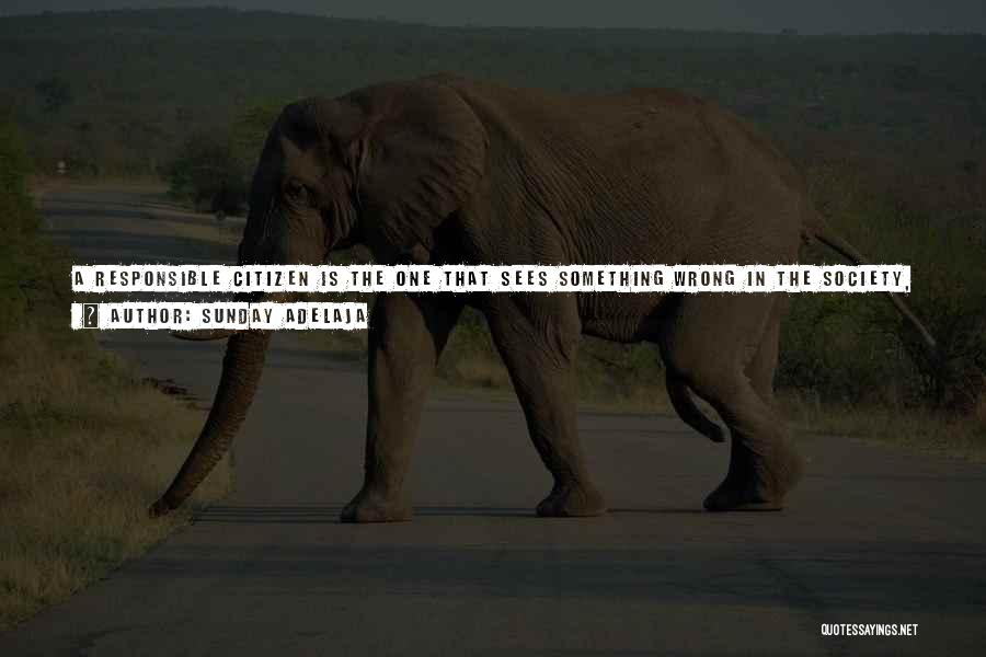 Sunday Adelaja Quotes: A Responsible Citizen Is The One That Sees Something Wrong In The Society, Something He Is Not Satisfied With Or