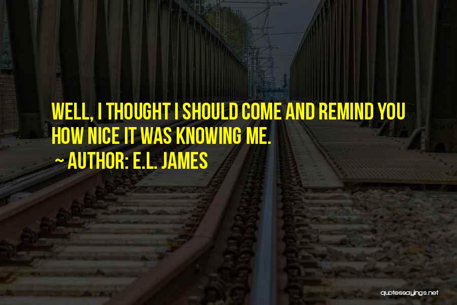 E.L. James Quotes: Well, I Thought I Should Come And Remind You How Nice It Was Knowing Me.