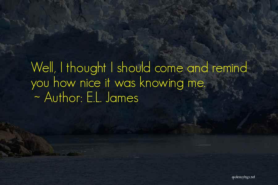 E.L. James Quotes: Well, I Thought I Should Come And Remind You How Nice It Was Knowing Me.