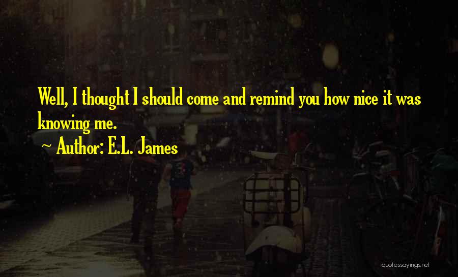 E.L. James Quotes: Well, I Thought I Should Come And Remind You How Nice It Was Knowing Me.