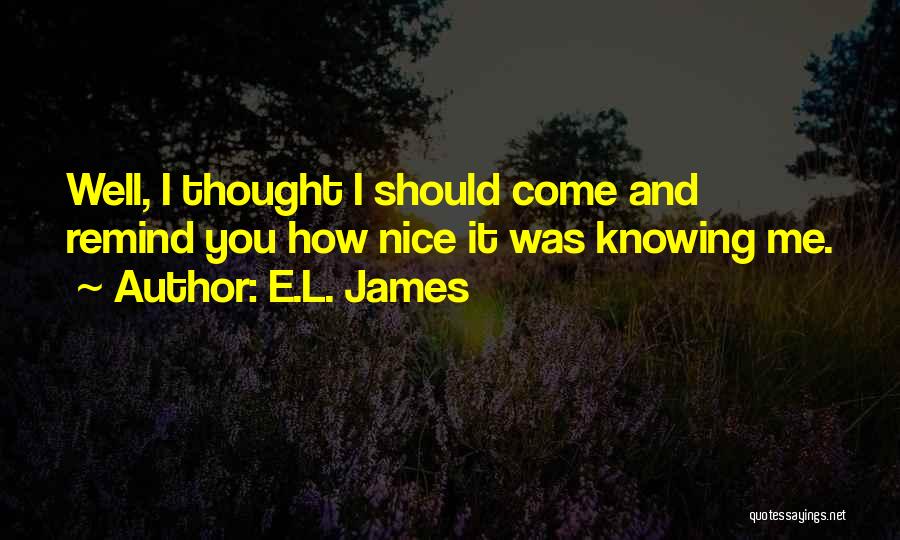 E.L. James Quotes: Well, I Thought I Should Come And Remind You How Nice It Was Knowing Me.