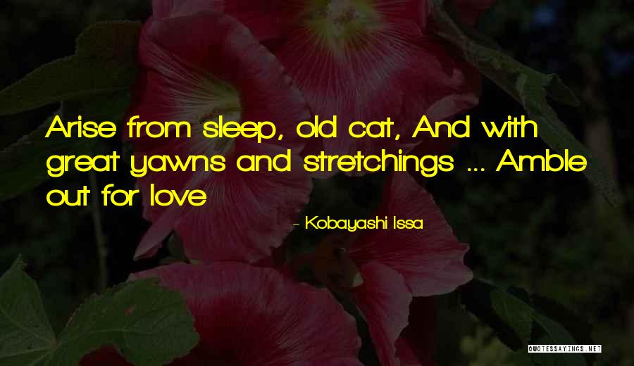 240z Body Quotes By Kobayashi Issa 240z Body Quotes By Kobayashi Issa