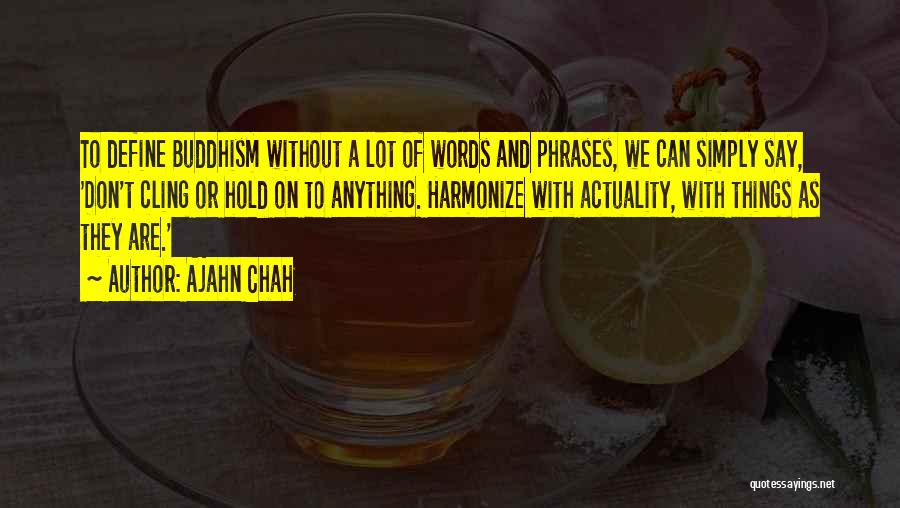 Ajahn Chah Quotes: To Define Buddhism Without A Lot Of Words And Phrases, We Can Simply Say, 'don't Cling Or Hold On To