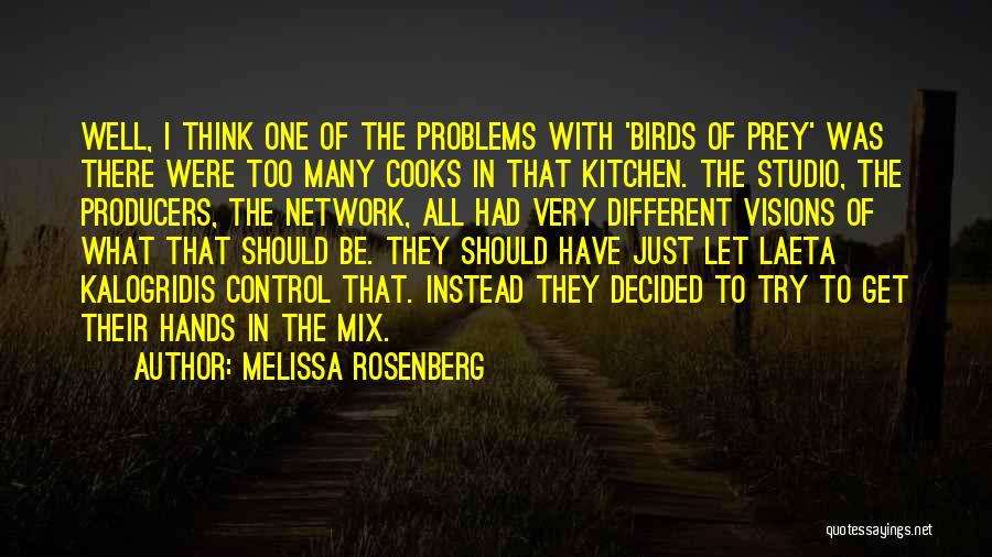 Melissa Rosenberg Quotes: Well, I Think One Of The Problems With 'birds Of Prey' Was There Were Too Many Cooks In That Kitchen.
