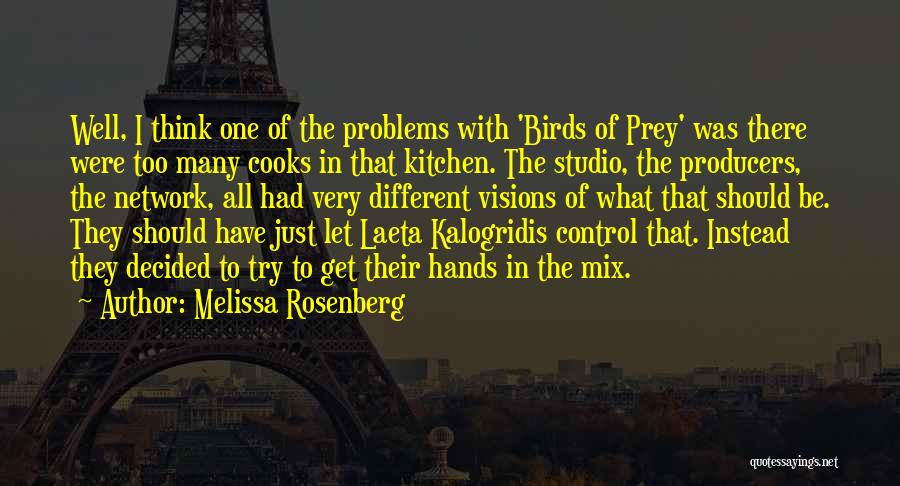 Melissa Rosenberg Quotes: Well, I Think One Of The Problems With 'birds Of Prey' Was There Were Too Many Cooks In That Kitchen.