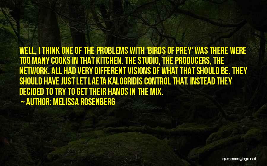 Melissa Rosenberg Quotes: Well, I Think One Of The Problems With 'birds Of Prey' Was There Were Too Many Cooks In That Kitchen.