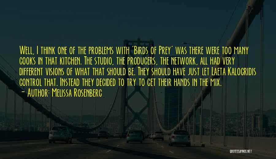 Melissa Rosenberg Quotes: Well, I Think One Of The Problems With 'birds Of Prey' Was There Were Too Many Cooks In That Kitchen.