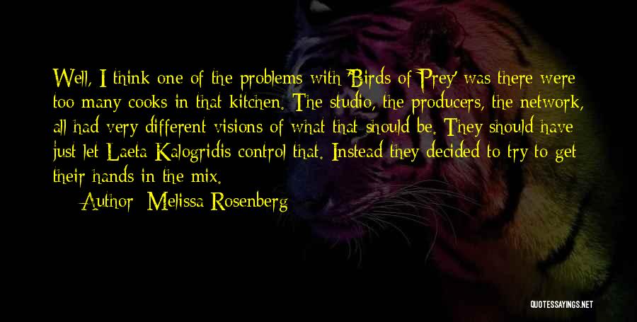 Melissa Rosenberg Quotes: Well, I Think One Of The Problems With 'birds Of Prey' Was There Were Too Many Cooks In That Kitchen.