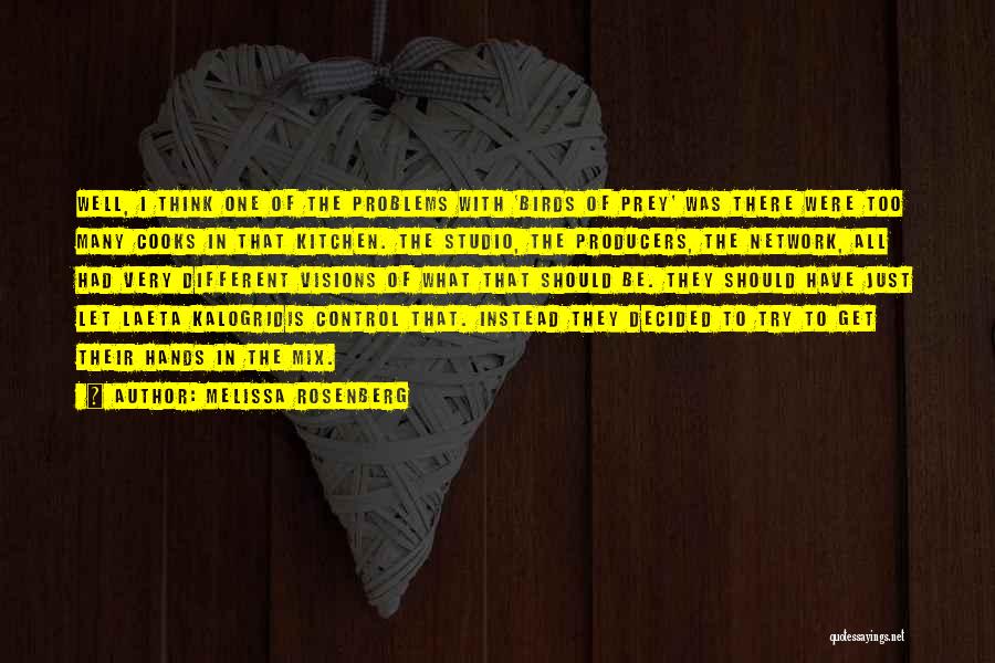 Melissa Rosenberg Quotes: Well, I Think One Of The Problems With 'birds Of Prey' Was There Were Too Many Cooks In That Kitchen.