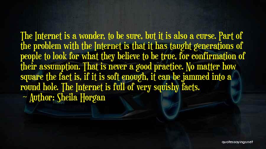 Sheila Horgan Quotes: The Internet Is A Wonder, To Be Sure, But It Is Also A Curse. Part Of The Problem With The