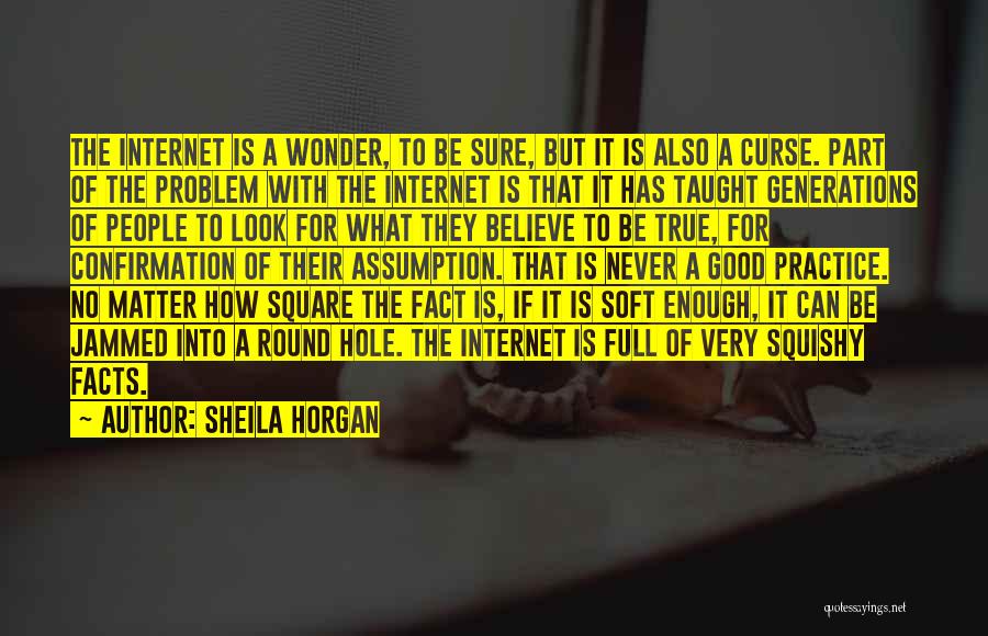 Sheila Horgan Quotes: The Internet Is A Wonder, To Be Sure, But It Is Also A Curse. Part Of The Problem With The