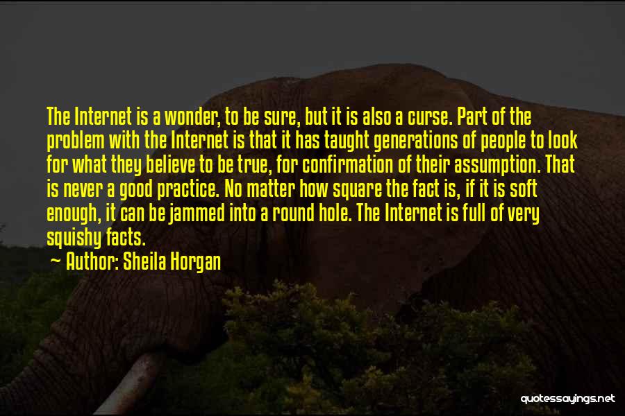 Sheila Horgan Quotes: The Internet Is A Wonder, To Be Sure, But It Is Also A Curse. Part Of The Problem With The