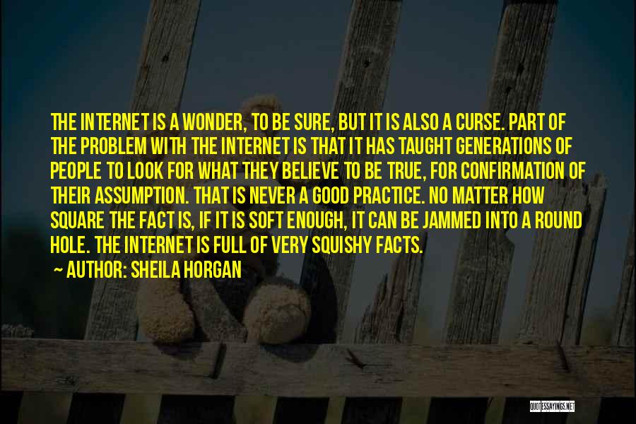 Sheila Horgan Quotes: The Internet Is A Wonder, To Be Sure, But It Is Also A Curse. Part Of The Problem With The