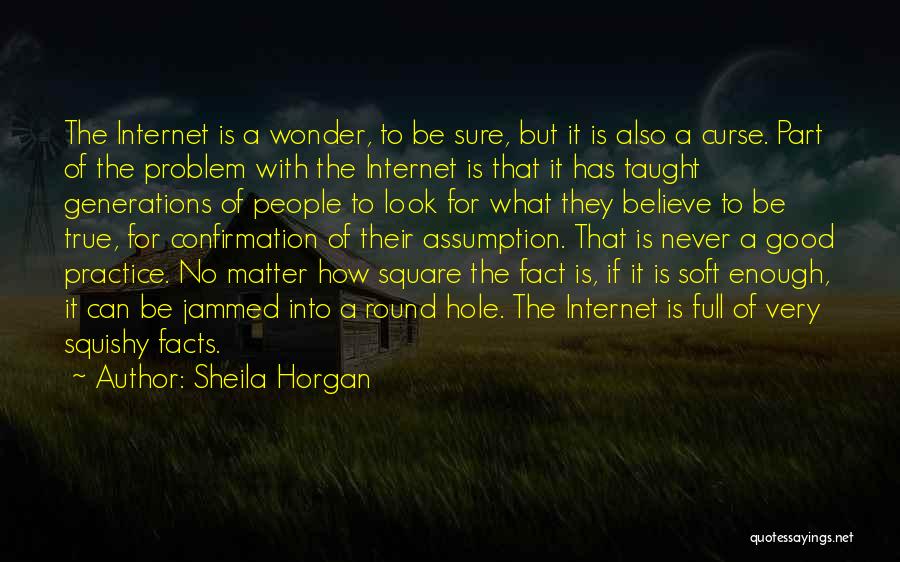 Sheila Horgan Quotes: The Internet Is A Wonder, To Be Sure, But It Is Also A Curse. Part Of The Problem With The