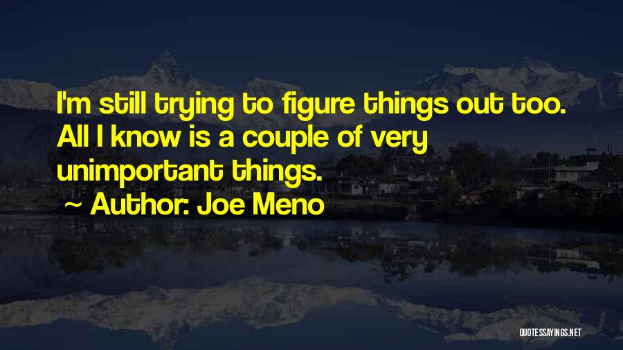 Joe Meno Quotes: I'm Still Trying To Figure Things Out Too. All I Know Is A Couple Of Very Unimportant Things.