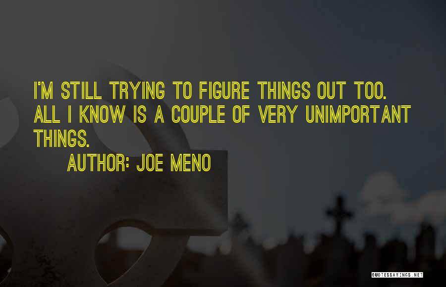 Joe Meno Quotes: I'm Still Trying To Figure Things Out Too. All I Know Is A Couple Of Very Unimportant Things.