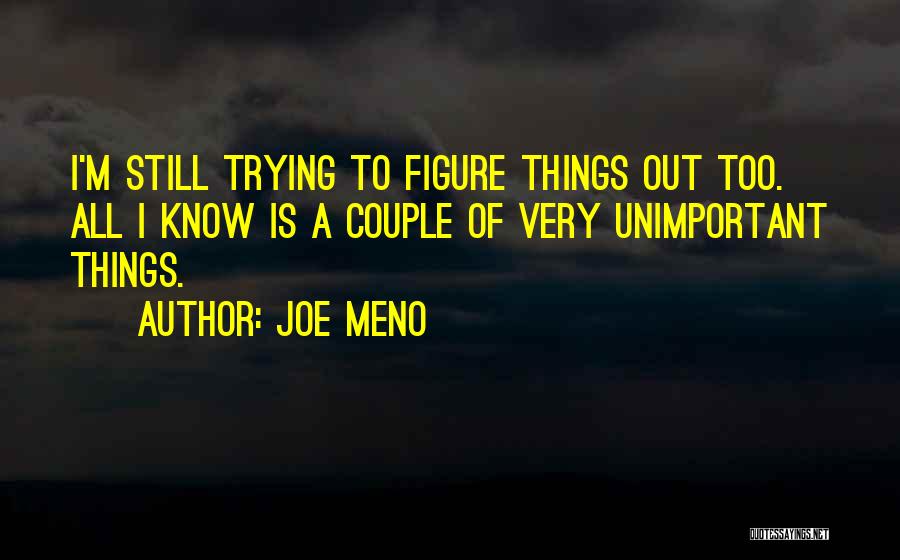 Joe Meno Quotes: I'm Still Trying To Figure Things Out Too. All I Know Is A Couple Of Very Unimportant Things.