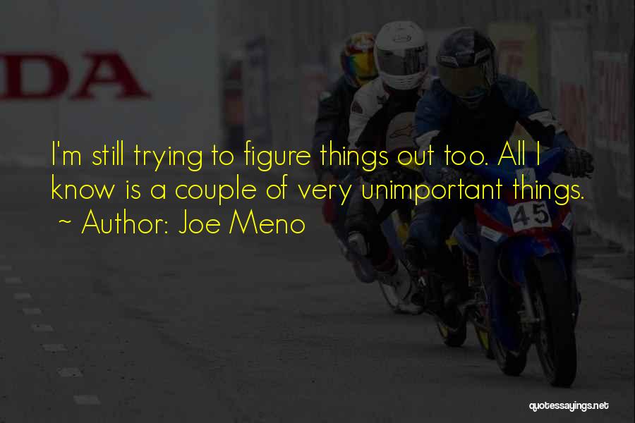 Joe Meno Quotes: I'm Still Trying To Figure Things Out Too. All I Know Is A Couple Of Very Unimportant Things.