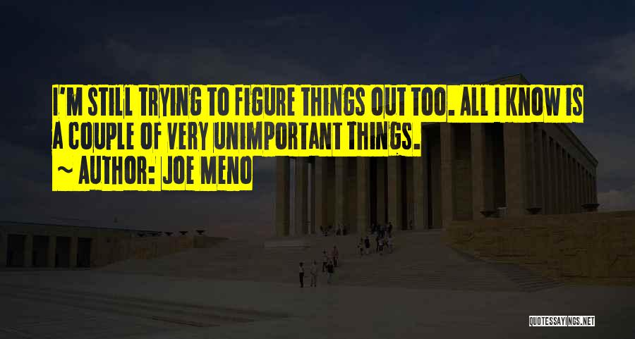 Joe Meno Quotes: I'm Still Trying To Figure Things Out Too. All I Know Is A Couple Of Very Unimportant Things.