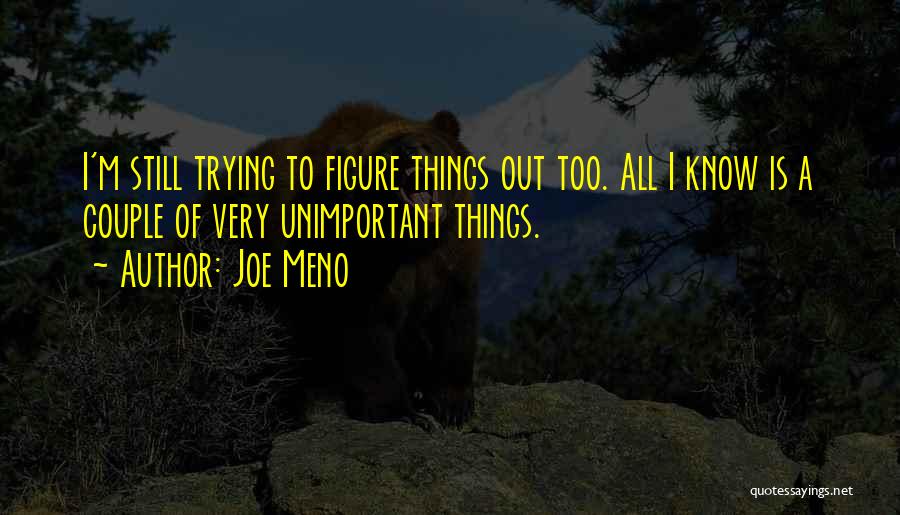 Joe Meno Quotes: I'm Still Trying To Figure Things Out Too. All I Know Is A Couple Of Very Unimportant Things.