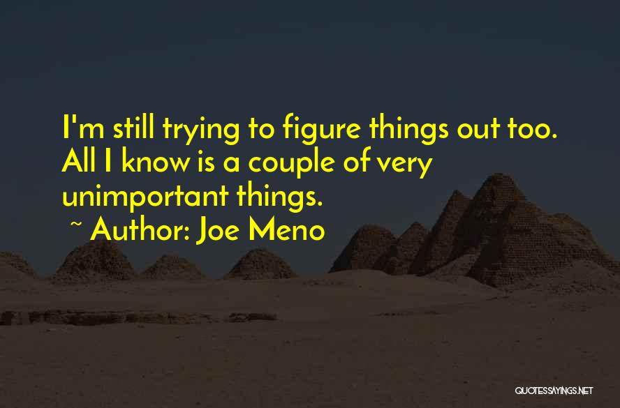 Joe Meno Quotes: I'm Still Trying To Figure Things Out Too. All I Know Is A Couple Of Very Unimportant Things.