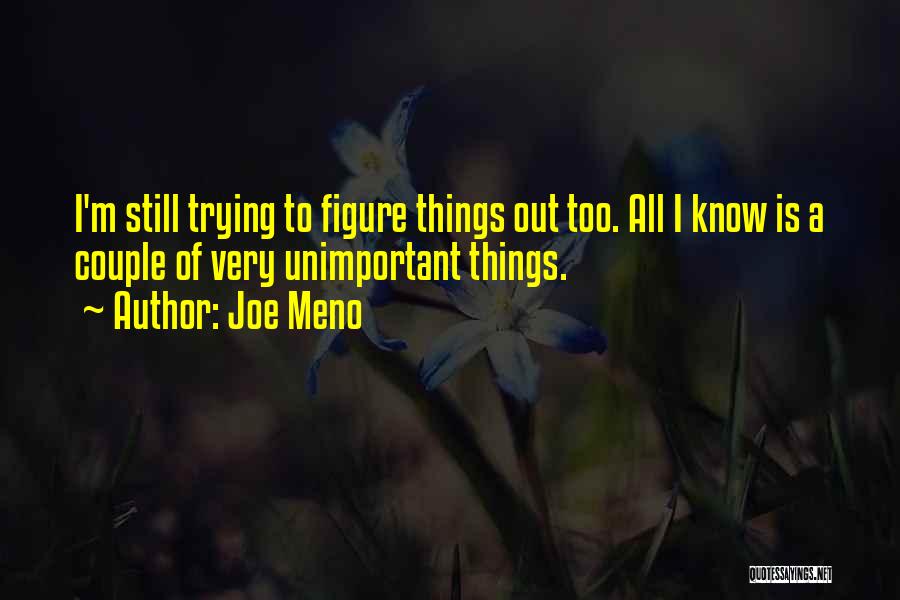 Joe Meno Quotes: I'm Still Trying To Figure Things Out Too. All I Know Is A Couple Of Very Unimportant Things.