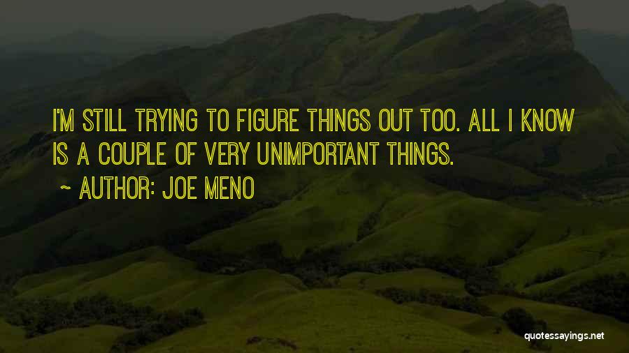 Joe Meno Quotes: I'm Still Trying To Figure Things Out Too. All I Know Is A Couple Of Very Unimportant Things.