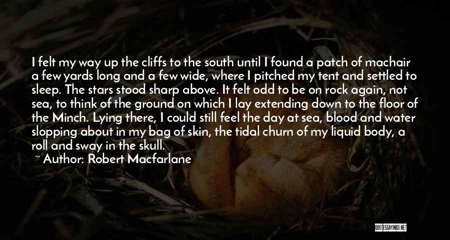 Robert Macfarlane Quotes: I Felt My Way Up The Cliffs To The South Until I Found A Patch Of Machair A Few Yards