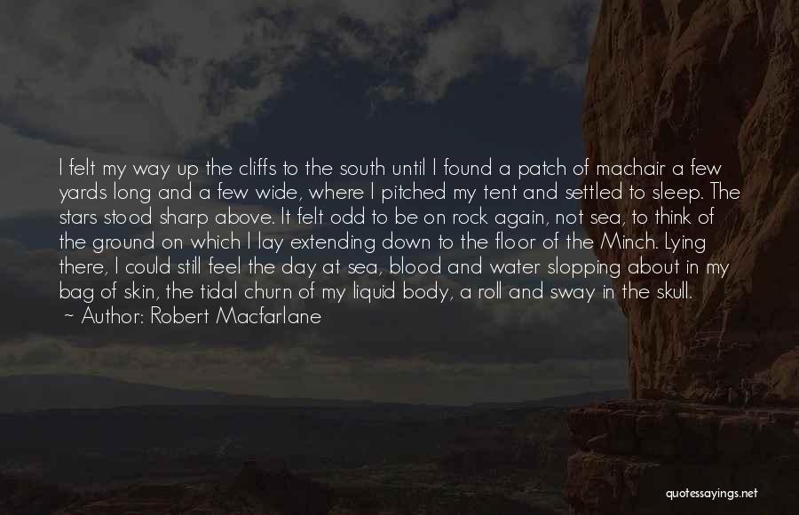 Robert Macfarlane Quotes: I Felt My Way Up The Cliffs To The South Until I Found A Patch Of Machair A Few Yards