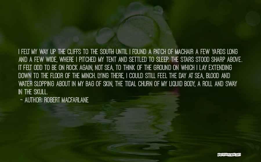 Robert Macfarlane Quotes: I Felt My Way Up The Cliffs To The South Until I Found A Patch Of Machair A Few Yards