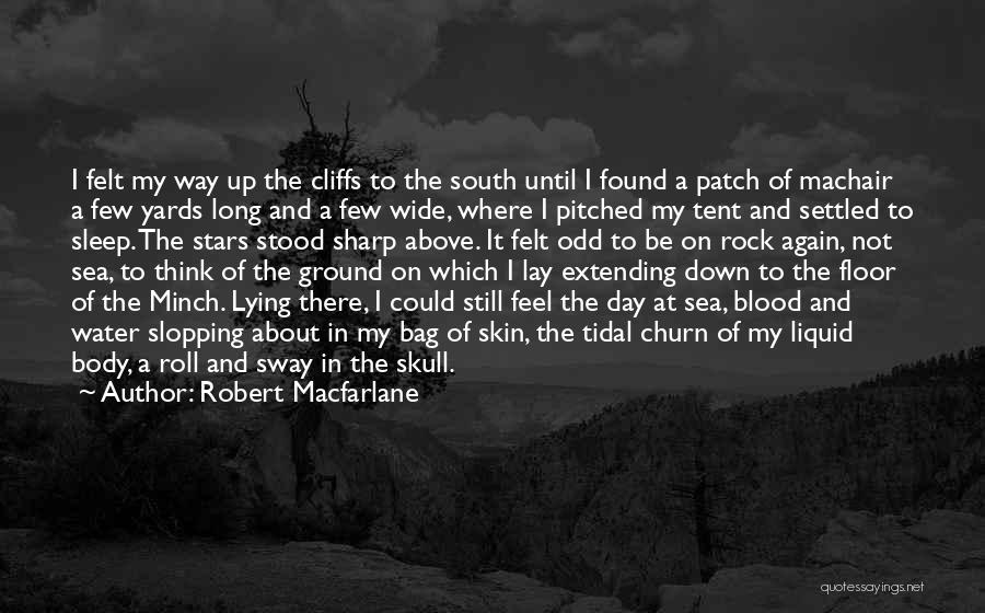 Robert Macfarlane Quotes: I Felt My Way Up The Cliffs To The South Until I Found A Patch Of Machair A Few Yards