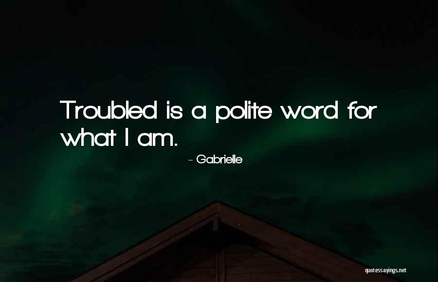 243 Ammo Quotes By Gabrielle 243 Ammo Quotes By Gabrielle