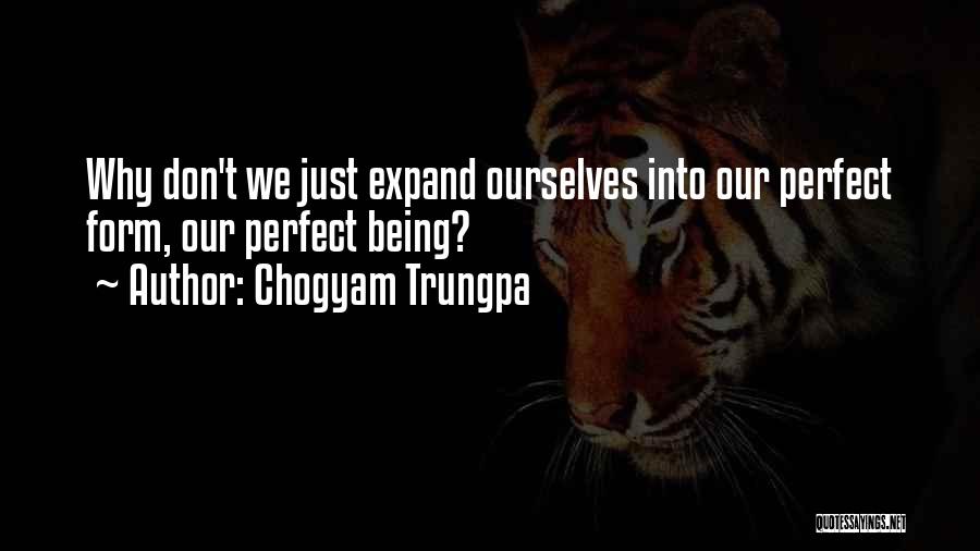 Chogyam Trungpa Quotes: Why Don't We Just Expand Ourselves Into Our Perfect Form, Our Perfect Being?