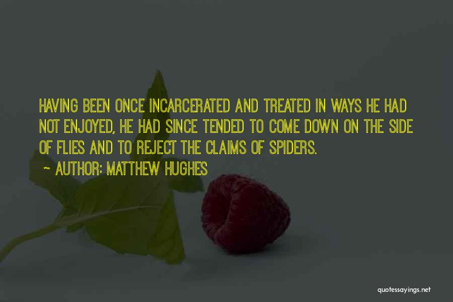 Matthew Hughes Quotes: Having Been Once Incarcerated And Treated In Ways He Had Not Enjoyed, He Had Since Tended To Come Down On