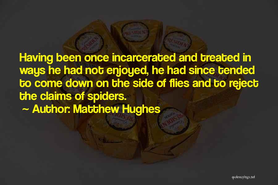 Matthew Hughes Quotes: Having Been Once Incarcerated And Treated In Ways He Had Not Enjoyed, He Had Since Tended To Come Down On
