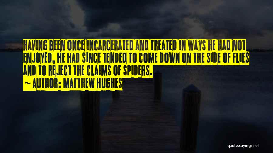 Matthew Hughes Quotes: Having Been Once Incarcerated And Treated In Ways He Had Not Enjoyed, He Had Since Tended To Come Down On