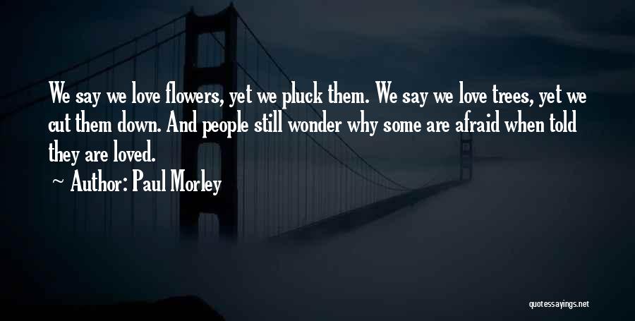 Paul Morley Quotes: We Say We Love Flowers, Yet We Pluck Them. We Say We Love Trees, Yet We Cut Them Down. And
