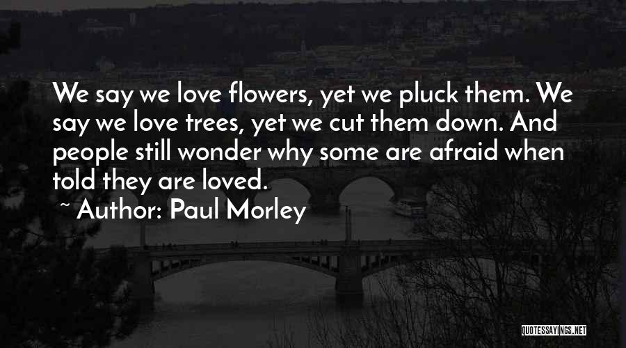 Paul Morley Quotes: We Say We Love Flowers, Yet We Pluck Them. We Say We Love Trees, Yet We Cut Them Down. And
