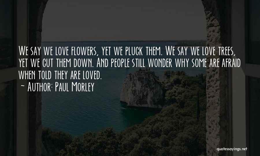 Paul Morley Quotes: We Say We Love Flowers, Yet We Pluck Them. We Say We Love Trees, Yet We Cut Them Down. And