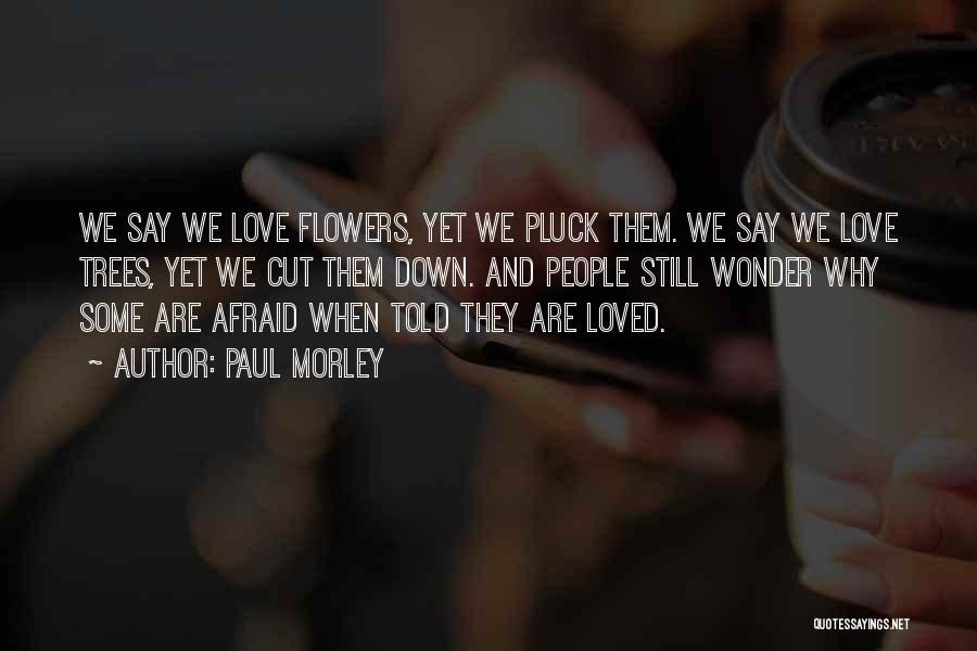Paul Morley Quotes: We Say We Love Flowers, Yet We Pluck Them. We Say We Love Trees, Yet We Cut Them Down. And