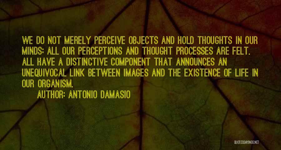 Antonio Damasio Quotes: We Do Not Merely Perceive Objects And Hold Thoughts In Our Minds: All Our Perceptions And Thought Processes Are Felt.