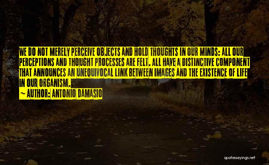 Antonio Damasio Quotes: We Do Not Merely Perceive Objects And Hold Thoughts In Our Minds: All Our Perceptions And Thought Processes Are Felt.