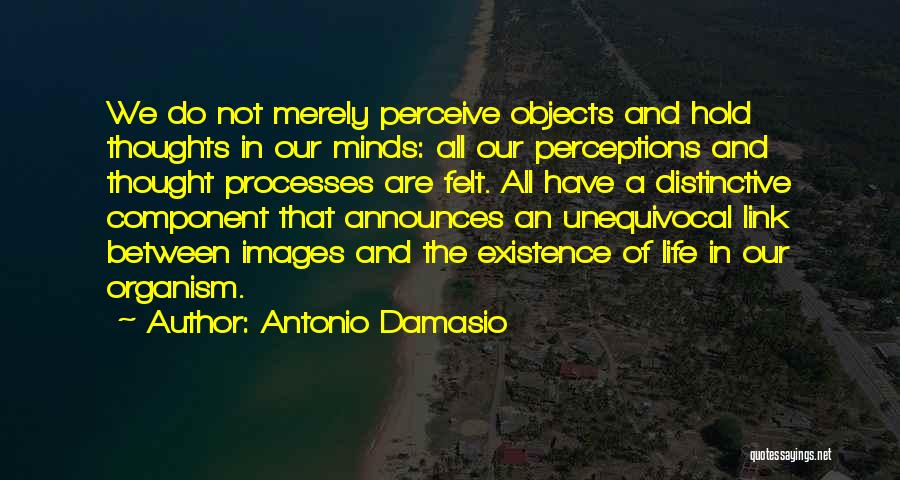 Antonio Damasio Quotes: We Do Not Merely Perceive Objects And Hold Thoughts In Our Minds: All Our Perceptions And Thought Processes Are Felt.