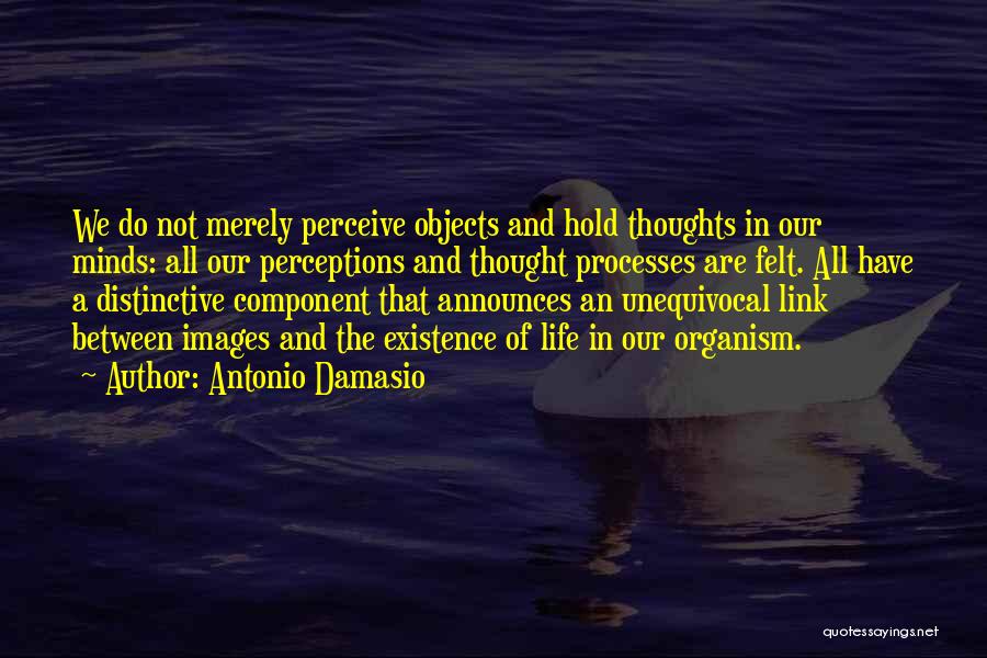 Antonio Damasio Quotes: We Do Not Merely Perceive Objects And Hold Thoughts In Our Minds: All Our Perceptions And Thought Processes Are Felt.